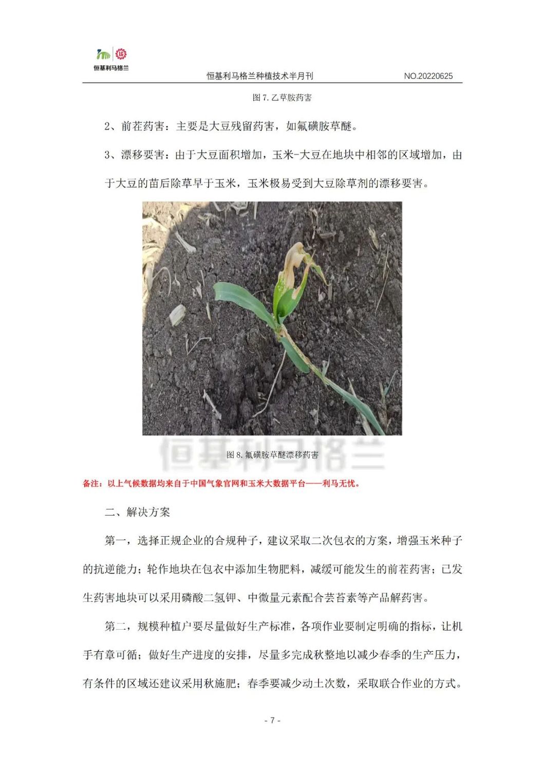 7《种植技术半月刊》2022年6月下旬.jpg