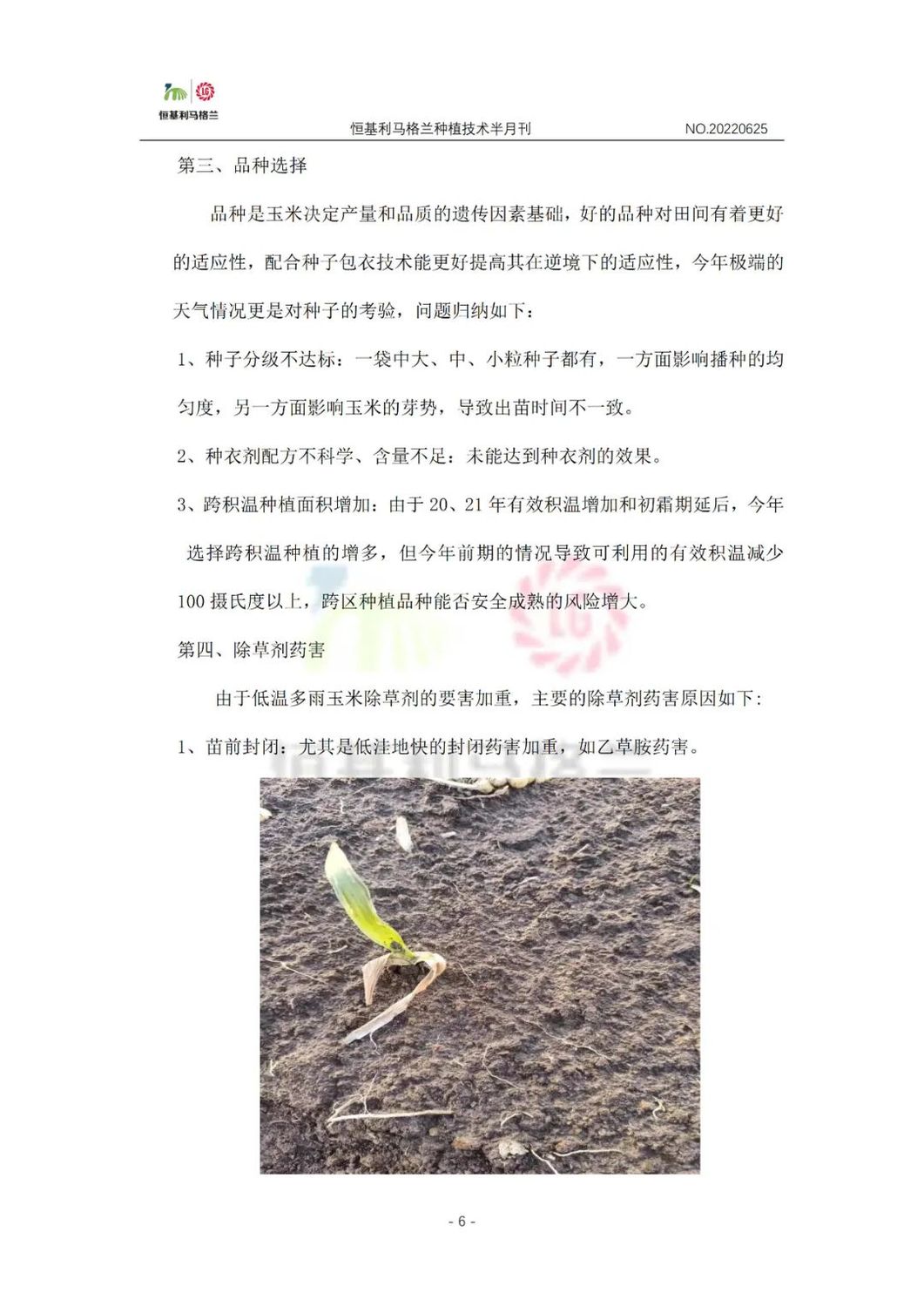 6《种植技术半月刊》2022年6月下旬.jpg