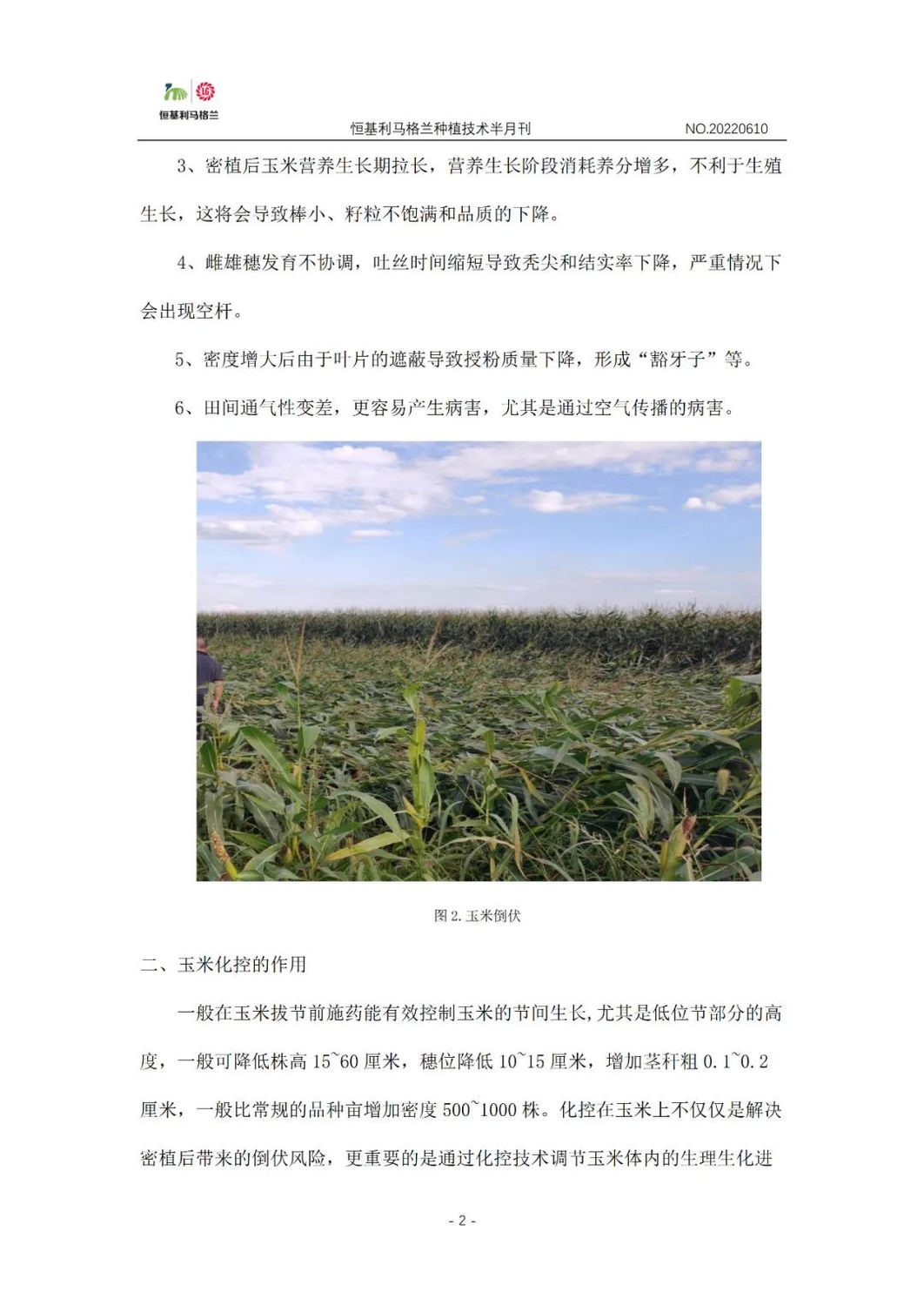 2《种植技术半月刊》2022年6月上旬.jpg