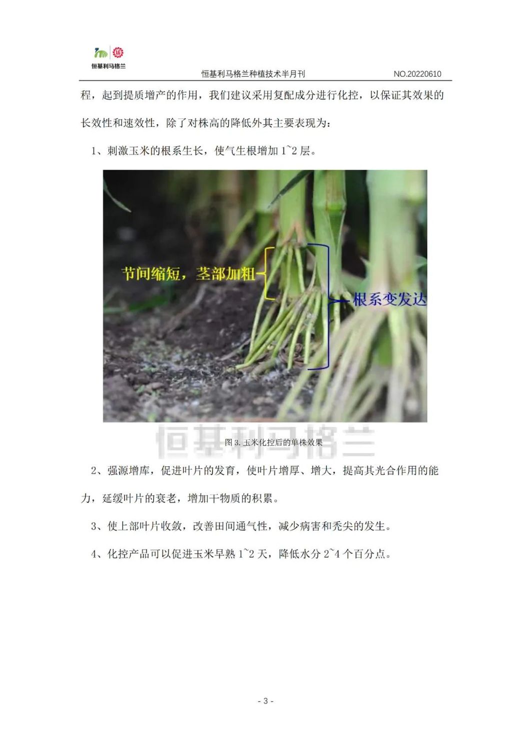3《种植技术半月刊》2022年6月上旬.jpg