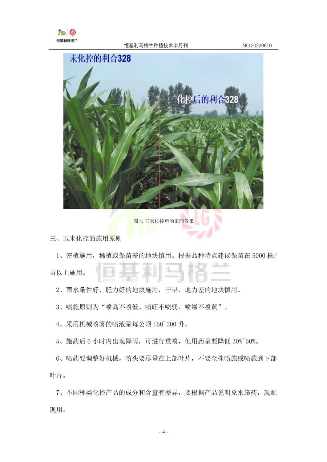4《种植技术半月刊》2022年6月上旬.jpg