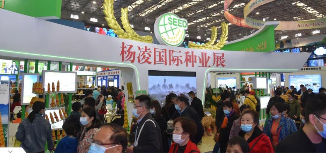 3鉴宝获奖！恒基利马格兰亮相第27届中国杨凌农高会.jpg
