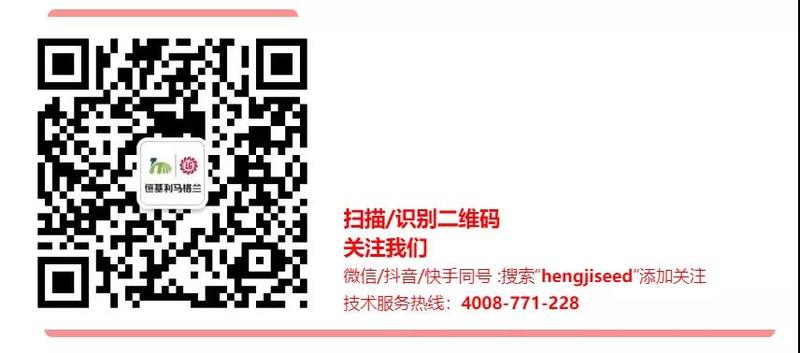 4劣迹斑斑，传播迅速—炭疽病不容小视.jpg