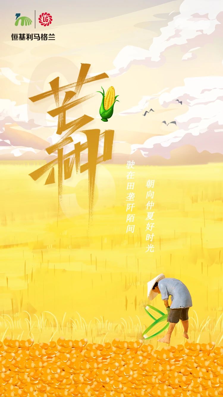2今日芒种.jpg