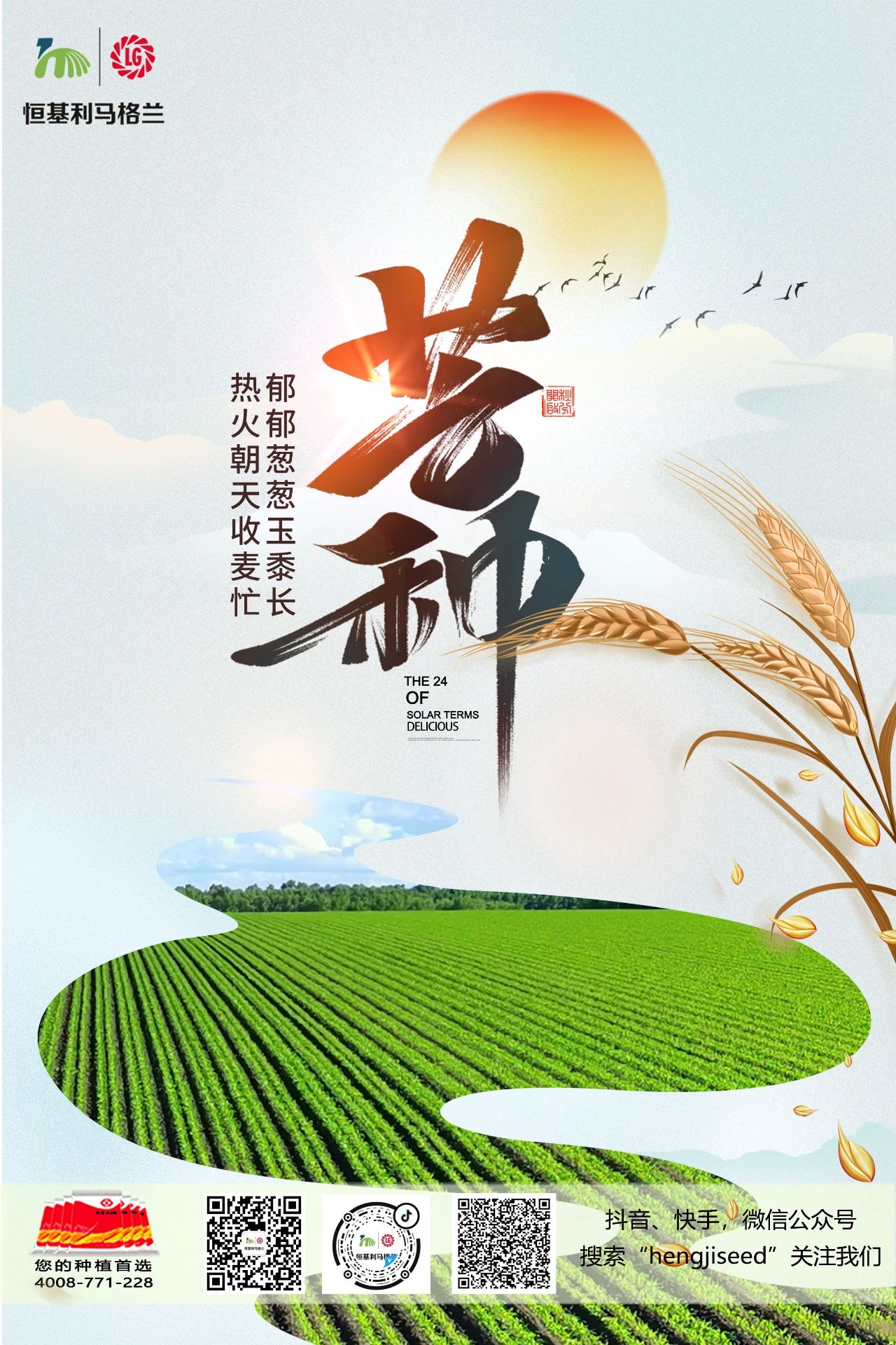 1今日芒种，请您关注夏收夏种和春玉米苗期管理！.jpg