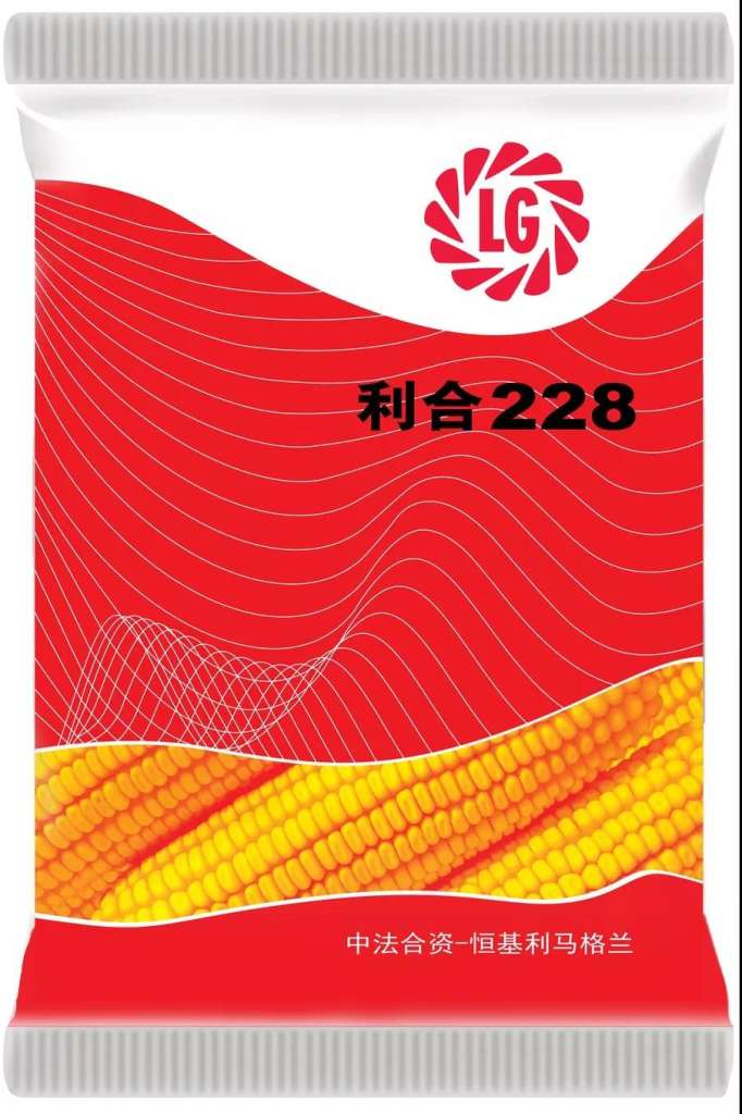 Ta来了！恒基利马格兰种业 利合228.jpg