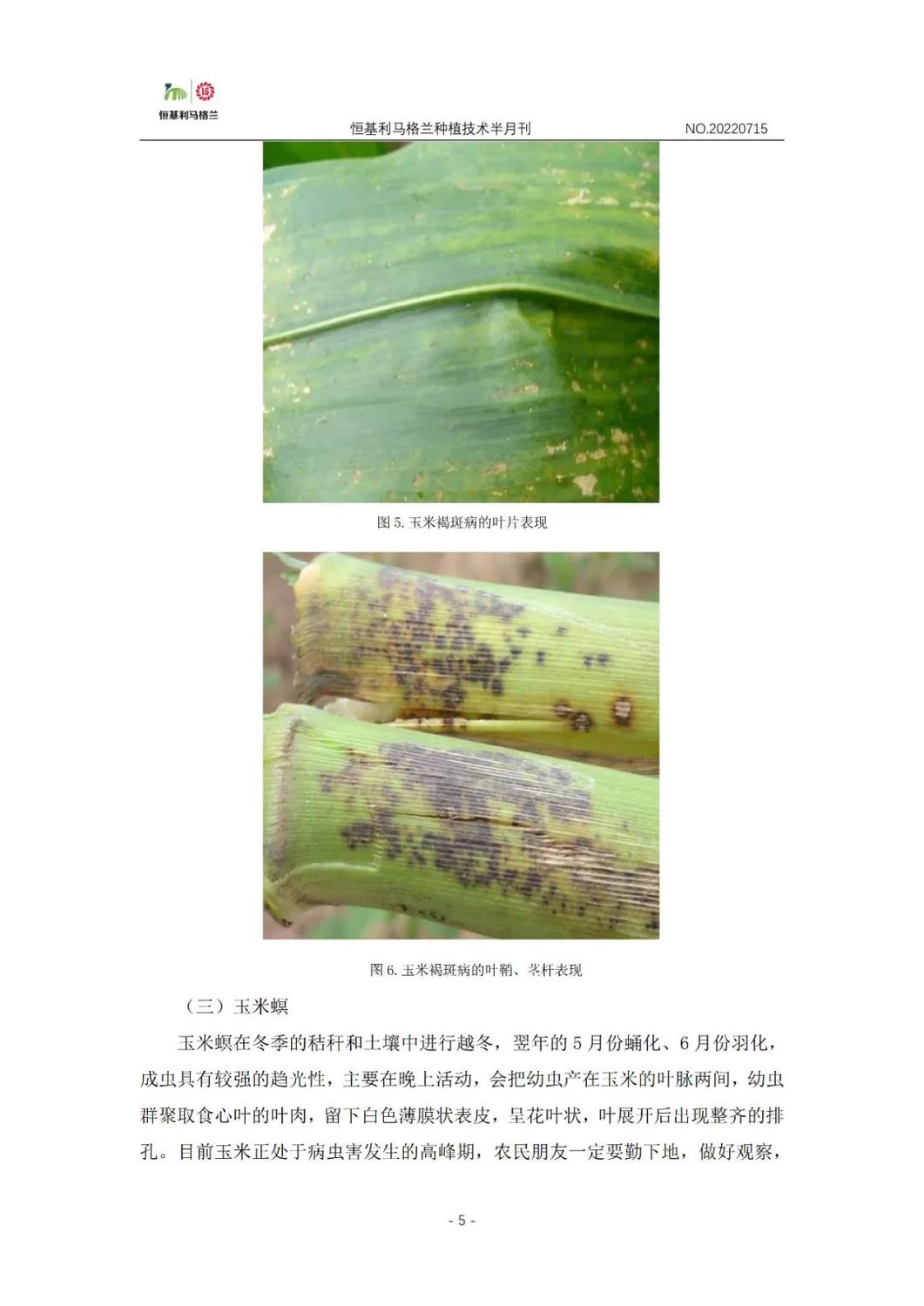 5《种植技术半月刊》2022年7月上旬.jpg