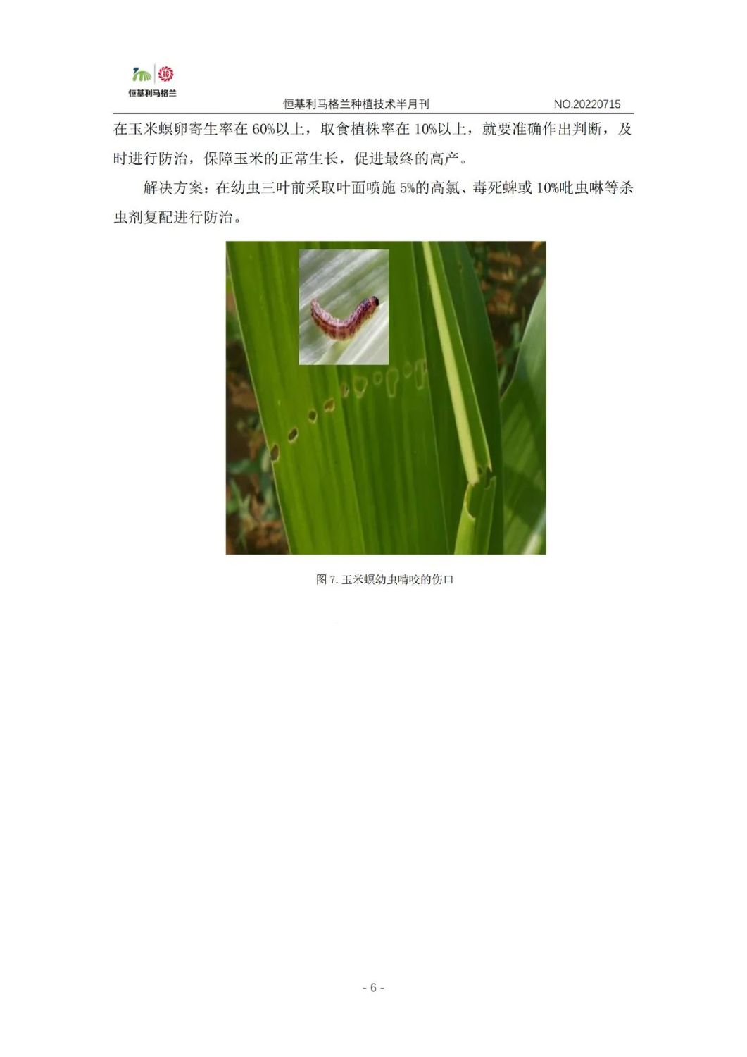 6《种植技术半月刊》2022年7月上旬.jpg
