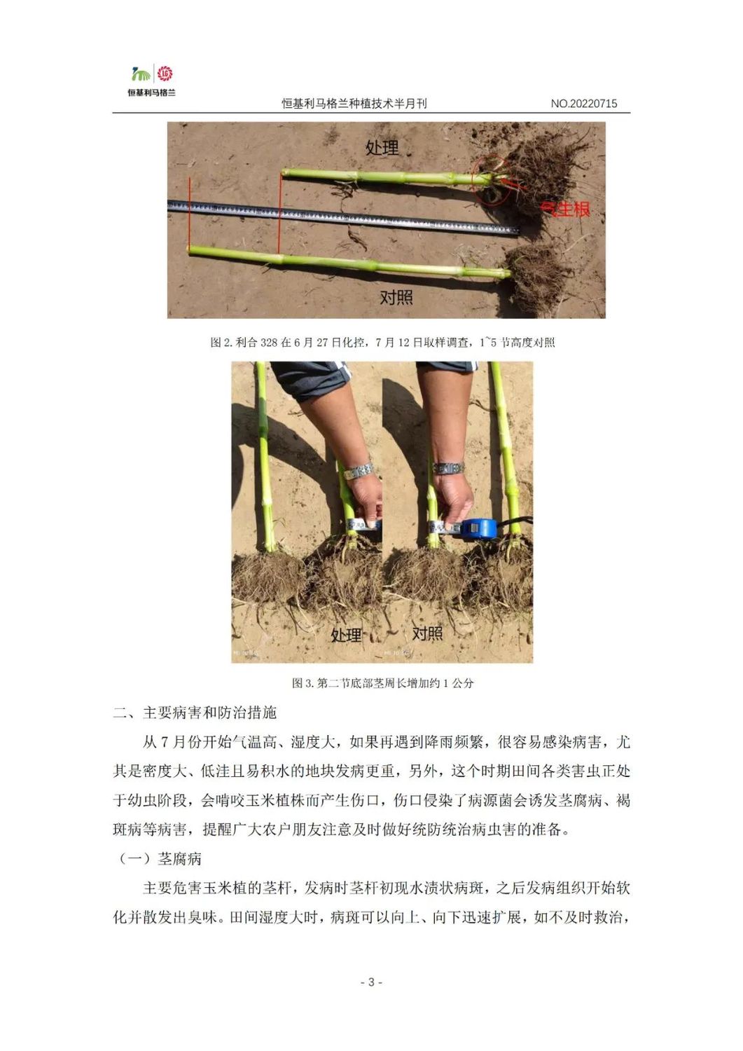 3《种植技术半月刊》2022年7月上旬.jpg