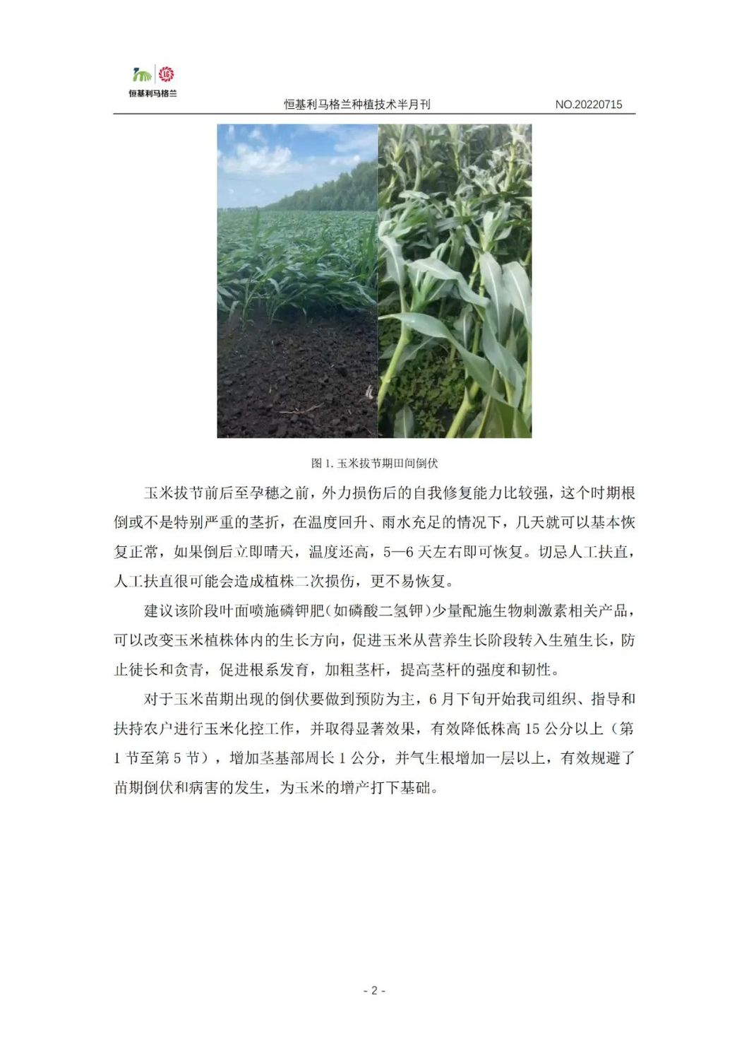 2《种植技术半月刊》2022年7月上旬.jpg