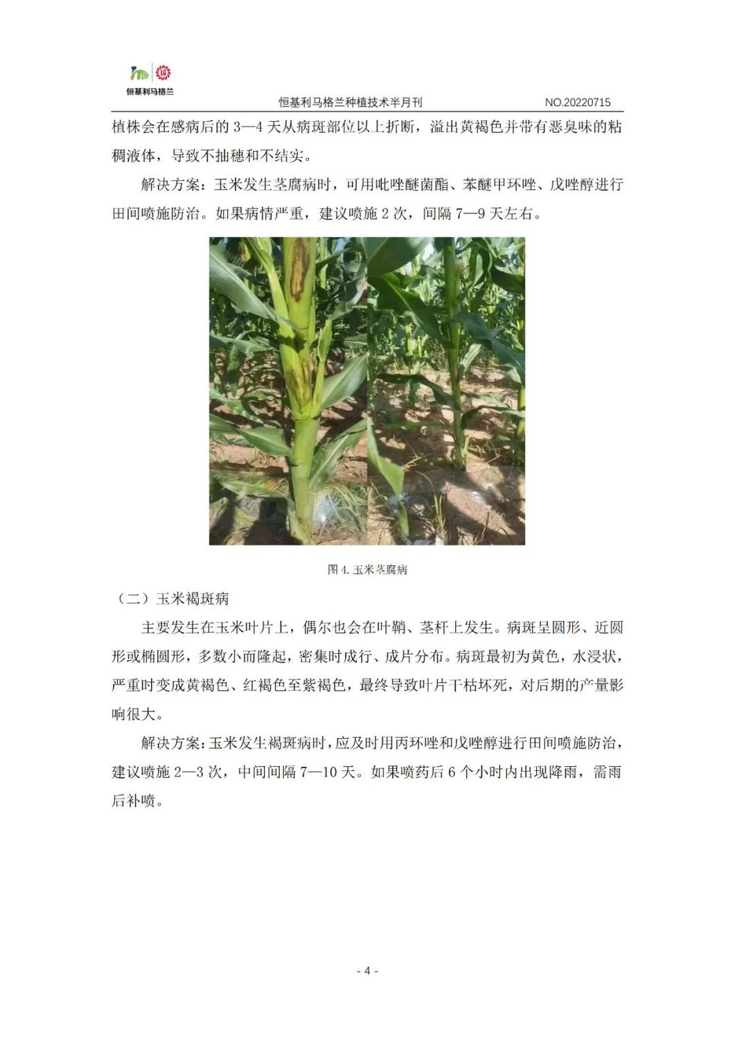 4-1《种植技术半月刊》2022年7月上旬.jpg