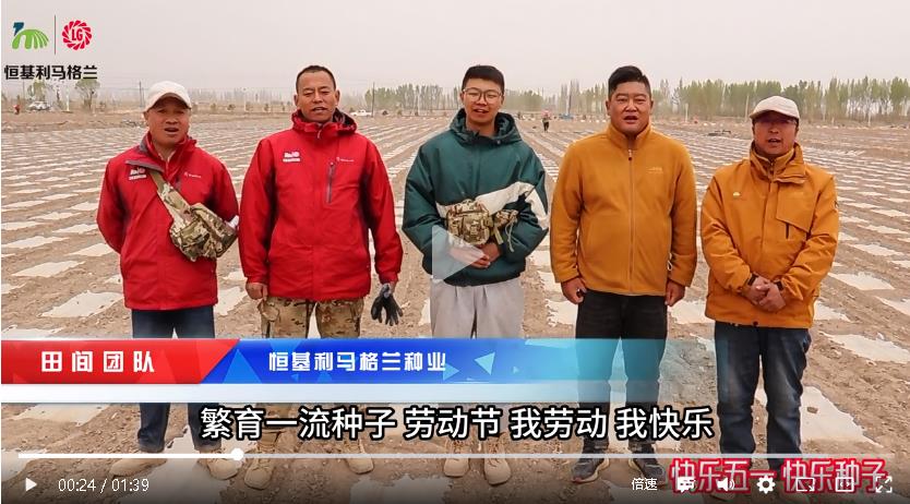 恒基种业五一劳动节快乐.jpg