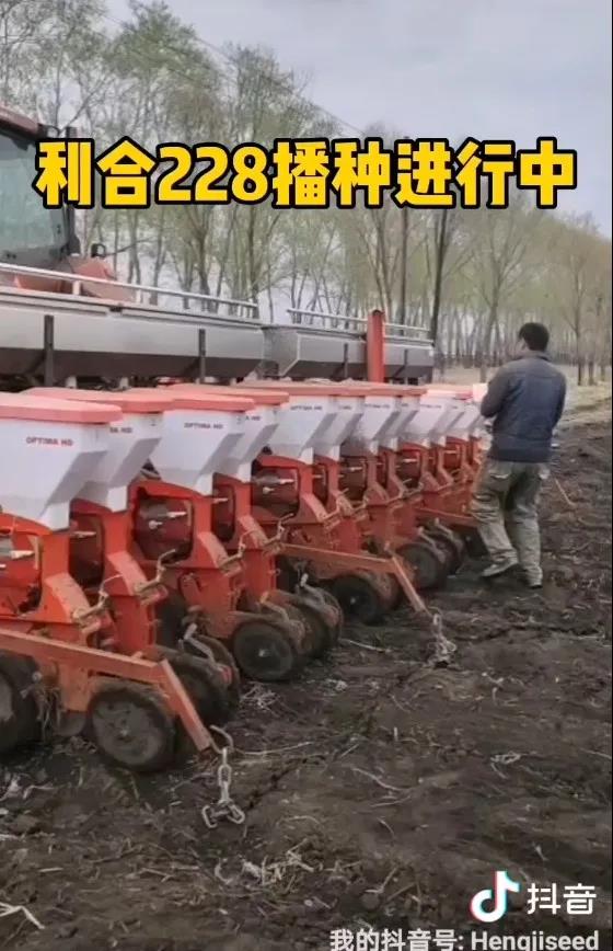 2播种后的那些事儿.jpg