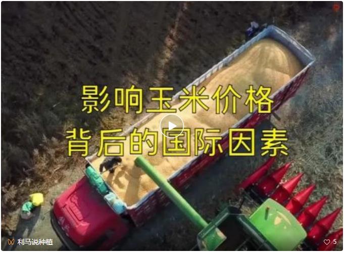 利马说粮情2022-11-21.jpg