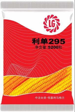 Ta来了！恒基利马格兰种业 利单295.jpg