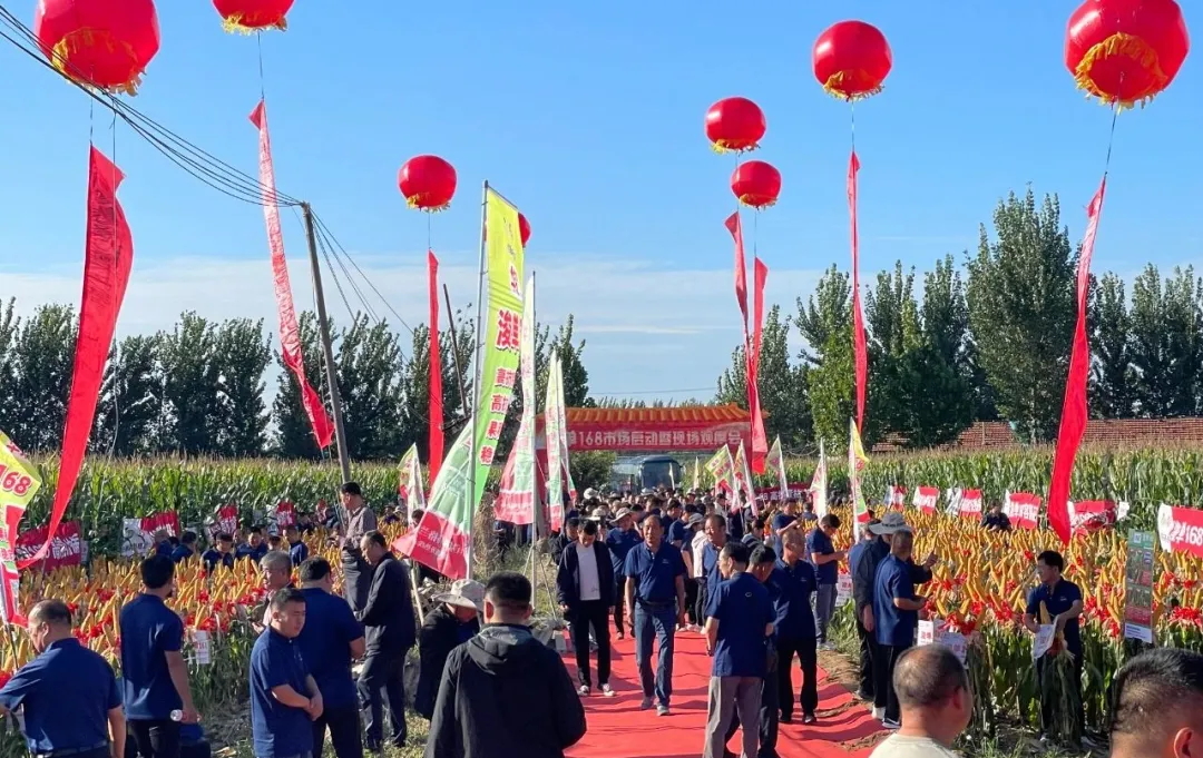 8-亮剑黄淮海，聚力赢未来——华采.浚单168市场启动暨现场观摩会成功举办_看图王.web.jpg