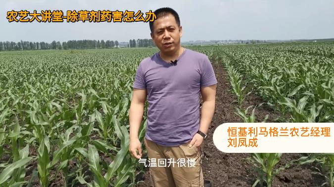 1农艺大讲堂-遇到除草剂药害怎么办？.jpg