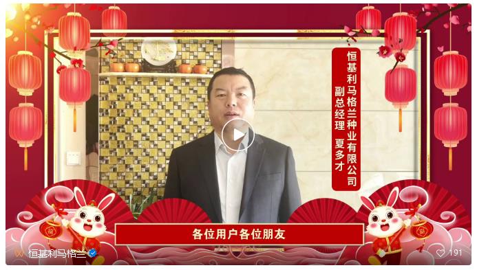 4瑞兔呈祥 欢度除夕！.jpg