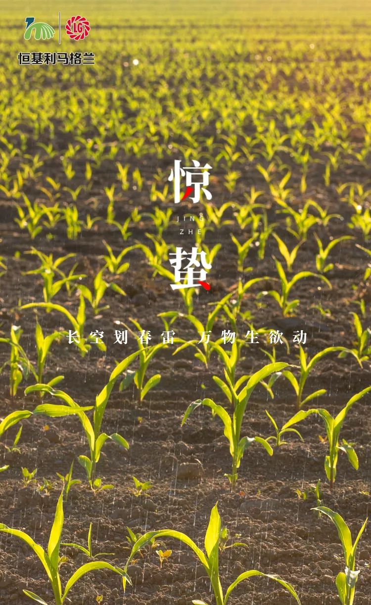 1恒基利马格兰温馨提醒您：今日惊蛰，关注节气变化，春耕备播正当时！.jpg