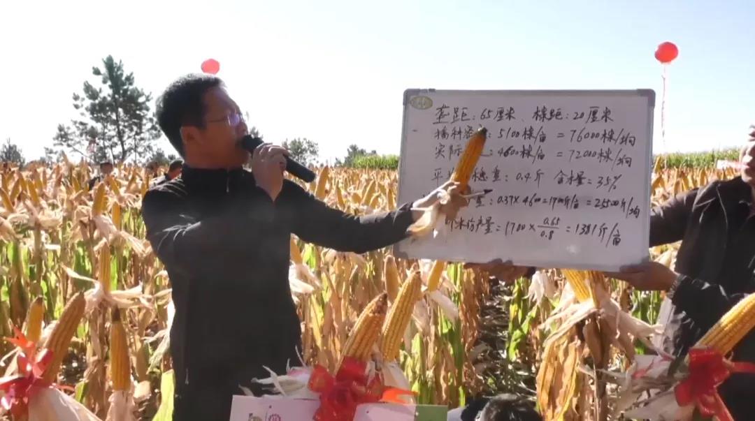 5-【云上观玉米 喜迎丰收节】--恒基利马格兰开展多场观摩活动为节日增光添彩.jpg
