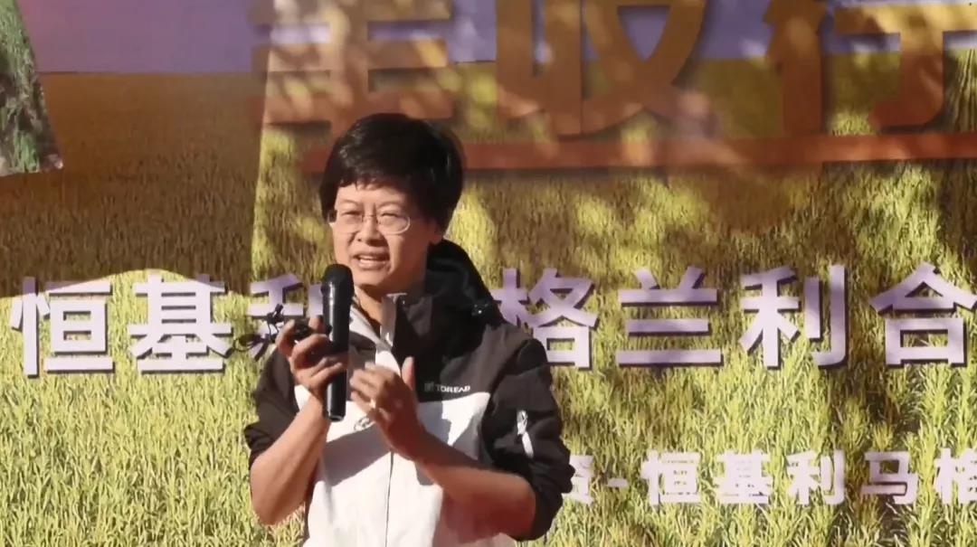 2-【云上观玉米 喜迎丰收节】--恒基利马格兰开展多场观摩活动为节日增光添彩.jpg