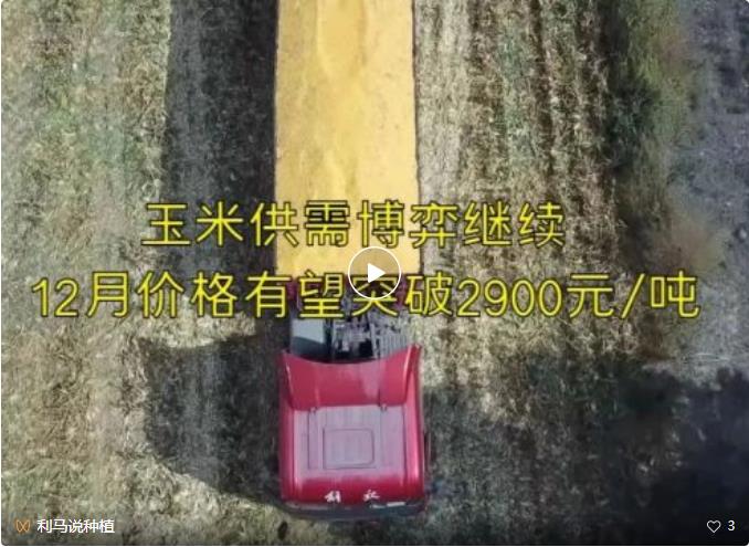 利马说粮情2022-12-2.jpg