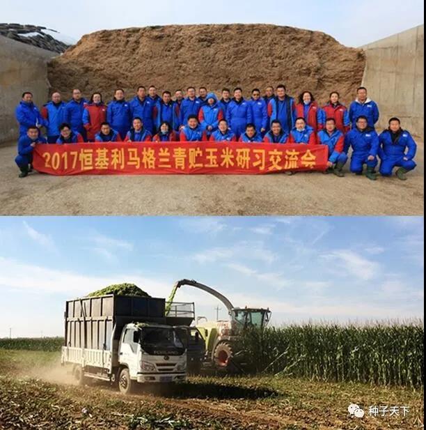 5速看！进博会期间恒基利马格兰与四川达成战略合作协议！.jpg