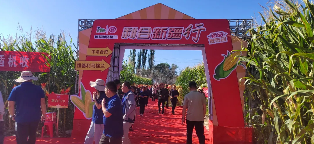 2-利合新疆行——2024恒基利马格兰品种发布会在新疆成功召开_看图王.web.jpg