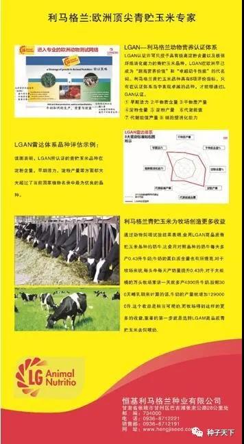 7速看！进博会期间恒基利马格兰与四川达成战略合作协议！.jpg