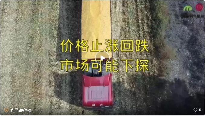 利马说种植与您时刻关注粮情变化.jpg