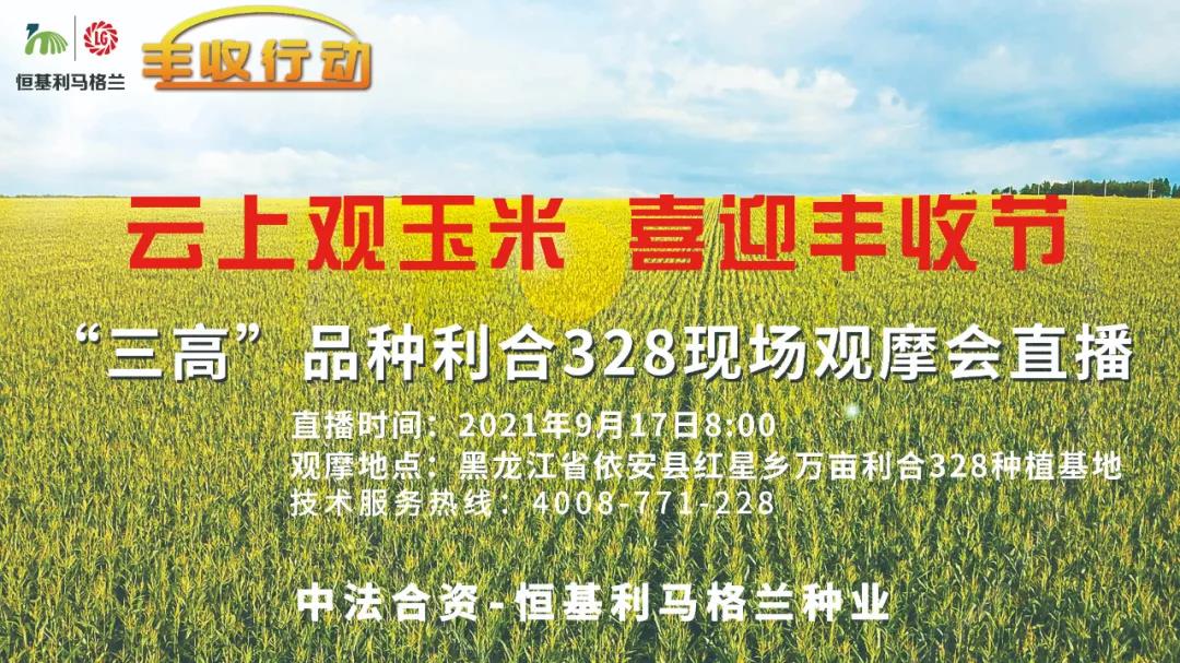 1-【云上观玉米 喜迎丰收节】恒基利马格兰邀请您参加利合328直播观摩活动.jpg