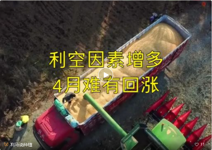 【利马说粮情】利空因素增多，4月难有回涨！.png