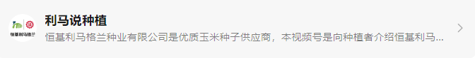 0极早熟重量级品种——利合629.png