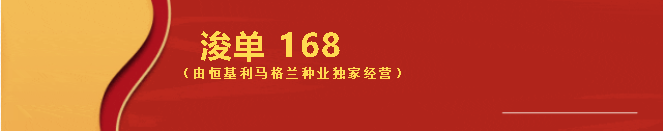 13--利合168.png