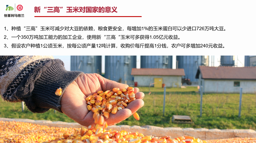 恒基利马格兰受邀参加2023第二届玉米春季高端研讨会5.png