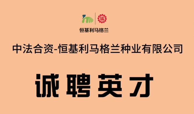 22恒基利马格兰诚聘英才.png