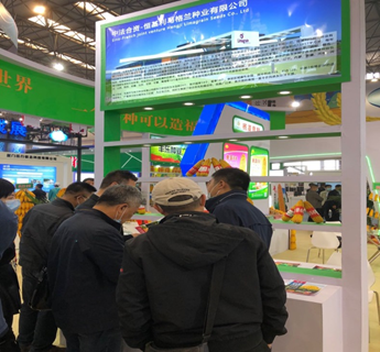 5鉴宝获奖！恒基利马格兰亮相第27届中国杨凌农高会.png