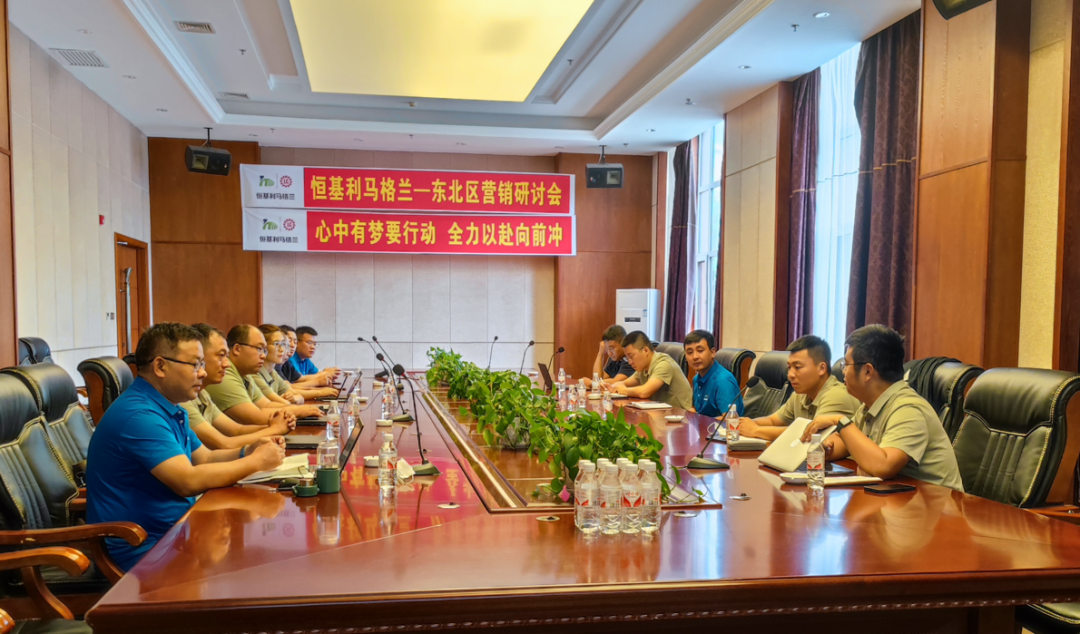 1心中有梦要行动 全力以赴向前冲——恒基利马格兰东北区营销研讨会在英杰小镇召开.png