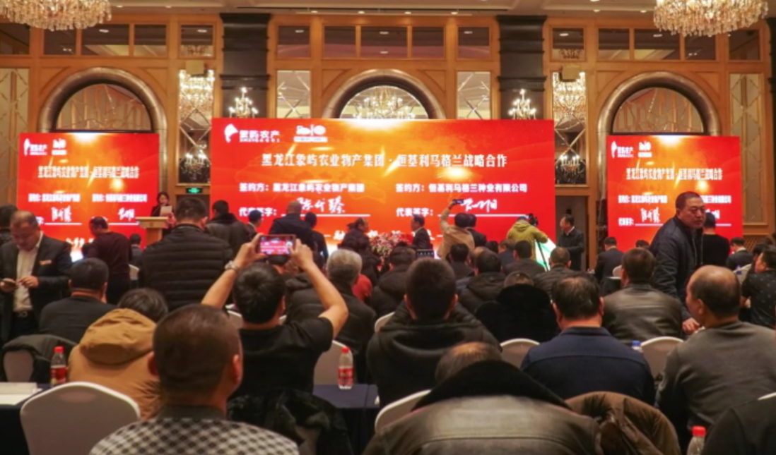 恒基利马格兰公司简介4.png