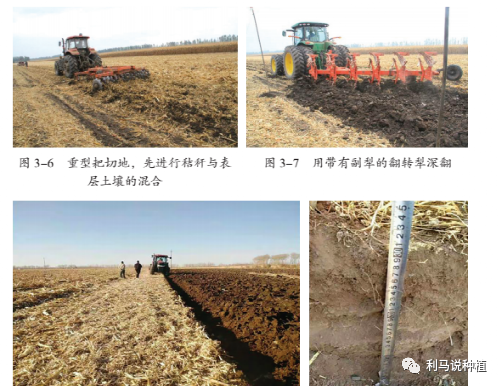 玉米密植精准调控技术简介5.png