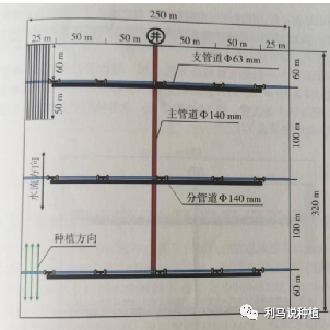 玉米密植精准调控技术简介1.png