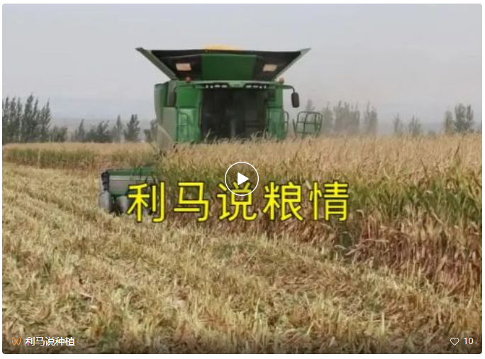 利马说粮情2022-10-29.png